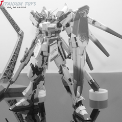 Gogo Models Hi Nu Evo Ver. detail image