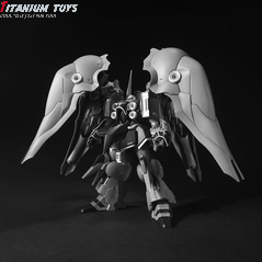 TT Hongli Kshatriya detail image