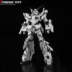 Daban Models PG Unicorn detail image