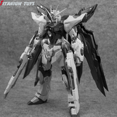 Daban Models Strike Freedom ver.MB detail image