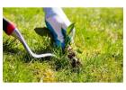 Reliable Lawn Care Services from Green Drop Lawns
