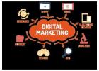 Harness Your Brand’s Potential with a Digital Marketing Company in India