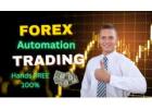 Reclaim Your Time: Let Forex Automation Handle the Rest