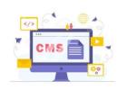CMS Software Development - Ambesoft Technologies