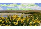 Autumn Colors  Tour of Northern Pakistan 2025: Enjoy Your Dream Trip