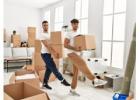 Trusted Logistics Company in Toronto for Smooth Freight