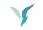 Meliora Integrative Medicine