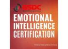 Boost Your Leadership & People Skills with a Certified Emotional Intelligence Course