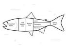 Smarter Seafood Processing Solutions