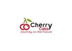 Luxury Tempo Traveller Rental – Book for Outstation & Events | CherryCabs