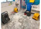 Reliable Water Damage Carpet Melbourne Repair