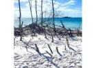 Redefine Your Island Stay with Anna Maria Island Luxury Accommodations