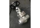 Check Valve Supplier in India