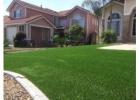 Best Artificial Grass Cost Deals Near You