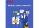 What in-Demand Skills Every Certified Machine Learning Professional Should Have.