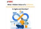 What  Hidden Value of a Software Development Life Cycle Certification in Agile and DevOps.