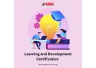 Boost Your Career with Learning and Development Certification