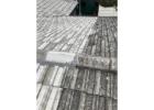 Prevent costly repairs, due to moss or algae growth with holistic Roof Cleaning SA