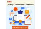 Why Learning and Development Certificates  important in the Digital Transformation Era