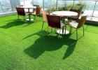 Best Artificial Turf For Sale Near You