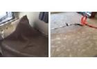 Trusted Flooded Carpet Restoration in Your Area