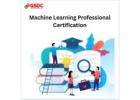 How Certified Machine Learning Professionals Are Powering the Next Wave of AI Innovation.