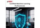 How Certified Machine Learning Professionals Are Powering Data-Driven Innovation.
