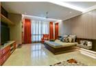 Looking for a luxurious home in Noida Extension?