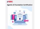 How Agentic AI Foundation Certification Prepares You for the Next Wave of Autonomous Systems and Int