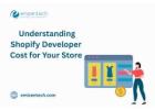 Understanding Shopify Developer Cost for Your Store