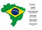 Brazil Import Data | Reliable Customs Records & Trade Reports – ImportGlobals