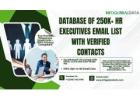 Get Verified HR Email Lists – Connect with Top HR Professionals Today!