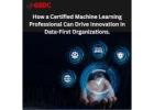 How a Certified Machine Learning Professional Can Drive Innovation in Data-First Organizations.