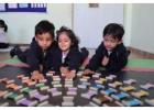 After School Hobby Activity Classes for kids in Faridabad