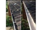 Gutter Cleaning Services in Tauranga