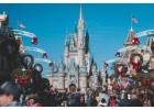 Cheap Flights to Orlando with Travelay™