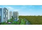 Godrej Zenith 89 Gurgaon - Residential Property
