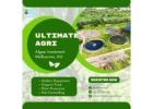 Algae treatment Australia