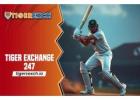 Tiger Exchange 247: Playing Cricket on Tiger Exchange ID