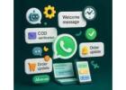 WhatsApp Marketing Company in Chennai for Business Automation
