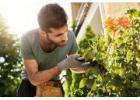 Professional Gardening Services in Pune – G1S Group Experts