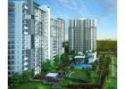 Shapoorji Pallonji 46 - Residential Property