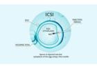 ICSI Treatment in Delhi - Dr Rhythm Gupta