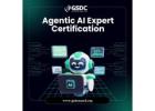 Agentic AI Developer Certification: Build the Future of Autonomous Intelligence