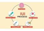 IUI Treatment In Delhi - Dr Rhythm Gupta