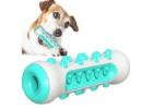 Ensure Pet’s Safety with Smart Home and Pet Care Products