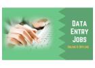 Small Bpo Company Data US Medical Form Filling project available 7708244092