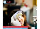 Denture Implants in Owings Mills, MD 21117 | Emergency Dental Service 