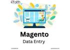 Magento Product Data Entry Services for Clean Catalogs