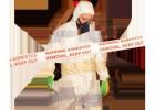 Best Asbestos Removal in Sydney